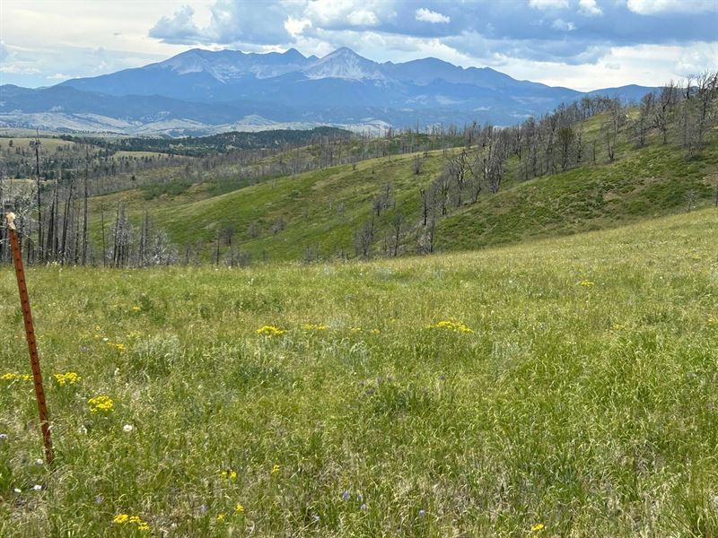 Lot 463 Forbes Wagon Creek Ranch : Fort Garland : Costilla County : Colorado