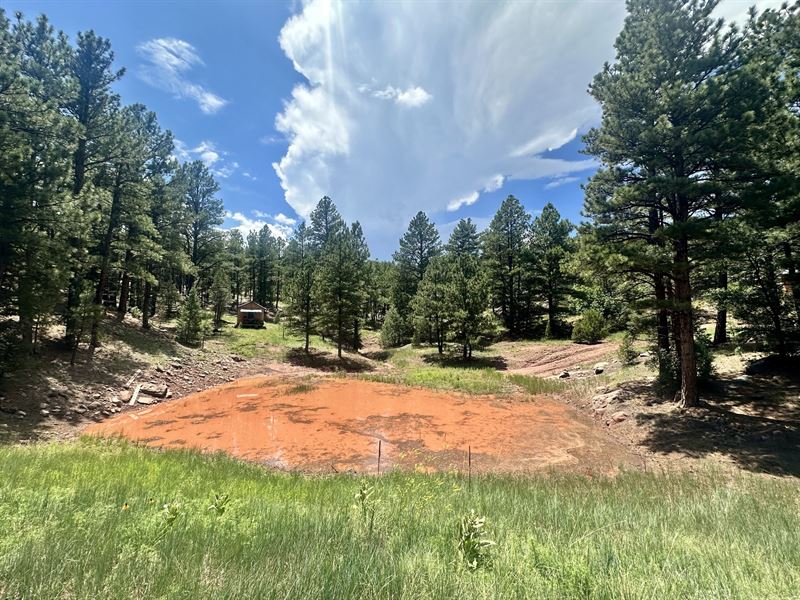 Coyote Road 160 : Rainsville : Mora County : New Mexico