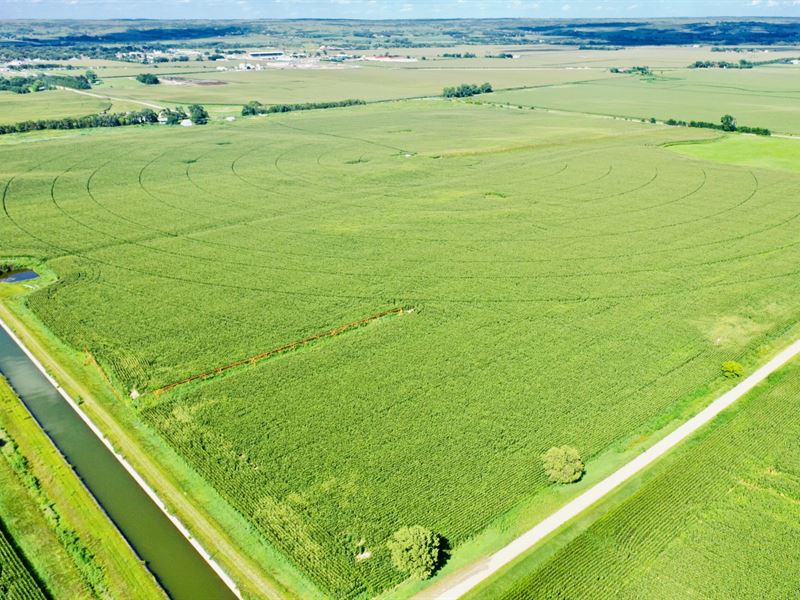 Burwell Irrigated Farm : Burwell : Garfield County : Nebraska