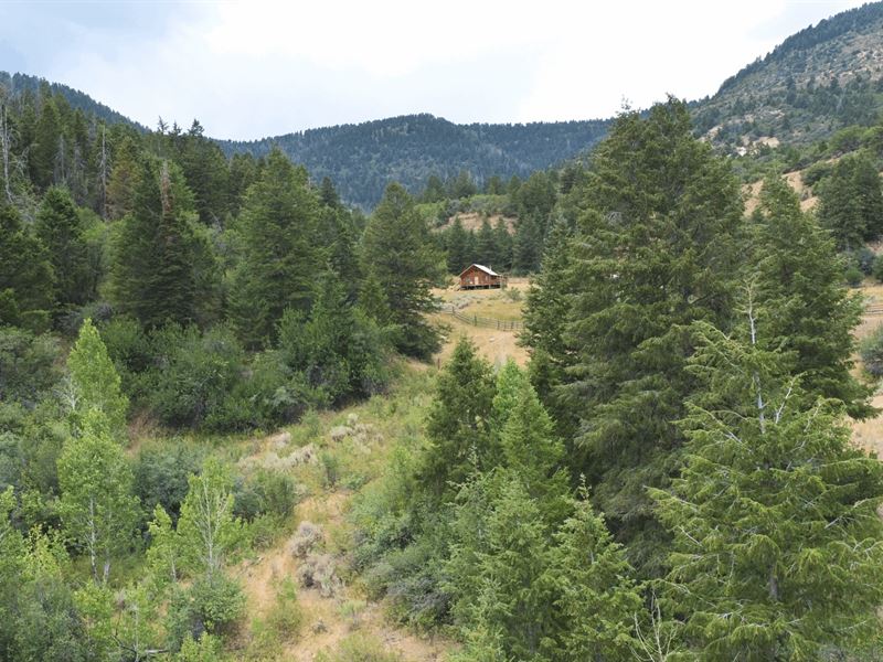 County Line Mountain Cabin : Rangely : Garfield County : Colorado