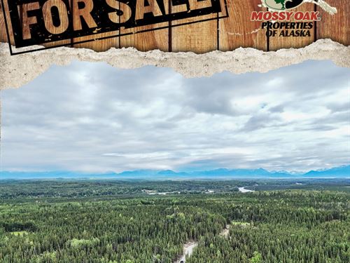 2.17 Acres Off Grid in Otna, AK : Soldotna : Kenai Peninsula Borough : Alaska