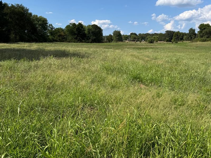 5.4 Acres Mtn View : Mountain View : Stone County : Arkansas