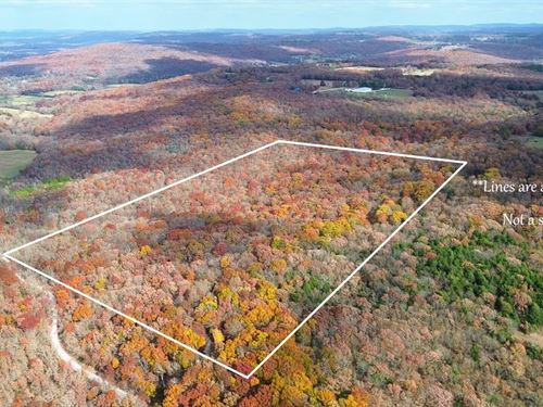 Onda Mountain 30 : West Fork : Washington County : Arkansas