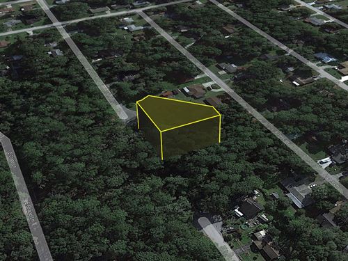 Dream Home Site $448/Month Gets It : Inverness : Citrus County : Florida