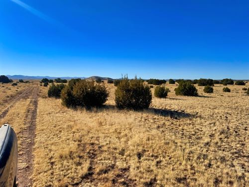 Your Homestead Story in Concho, AZ : Concho : Apache County : Arizona