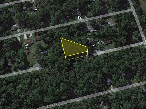 Dream Land, Simple Terms $433/Mo : Inverness : Citrus County : Florida