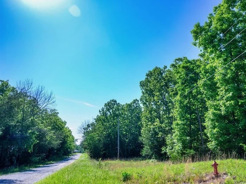 Half Acre by Diamond Lake : Horseshoe Bend : Izard County : Arkansas