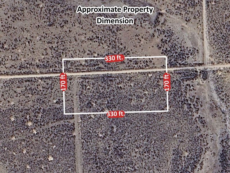 1.25 Acres of Pure Idaho Freedom : Saint Anthony : Camas County : Idaho