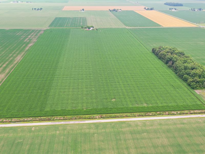 Land Auction, Allen County Indiana : Woodburn : Allen County : Indiana