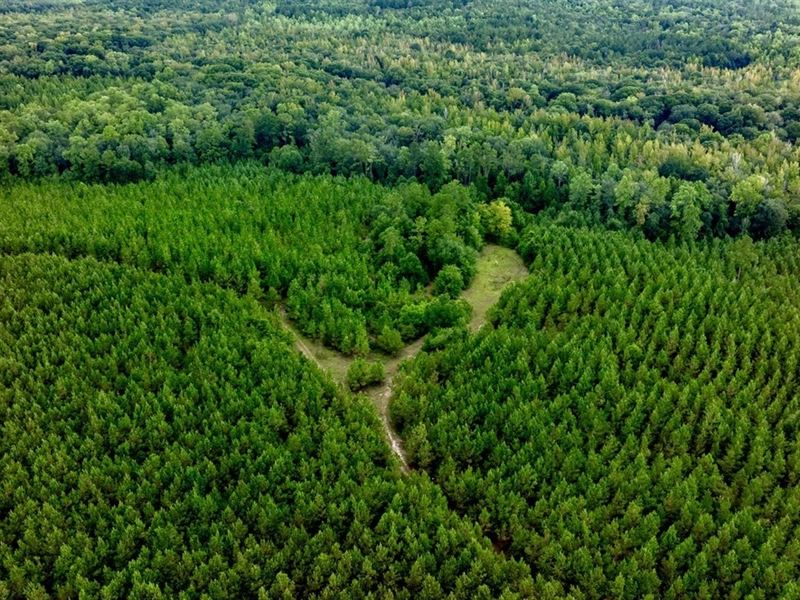 Pine Creek Retreat : Oglethorpe : Macon County : Georgia