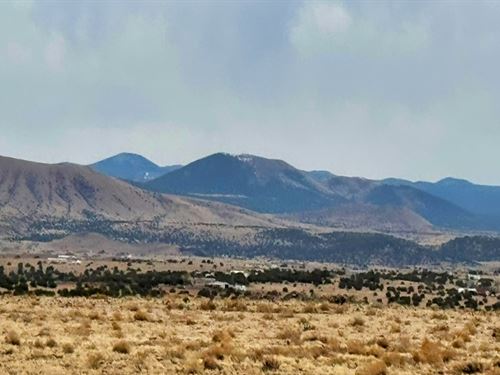 Adventure Headquarters in Concho AZ : Concho : Apache County : Arizona