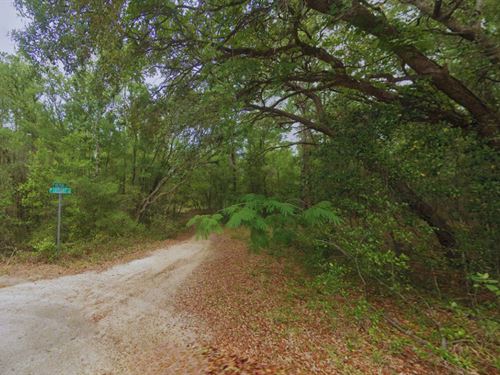 .24 Acre Land in Citrus Springs : Citrus Springs : Citrus County : Florida