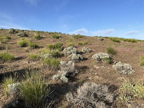 1.13 Acres Land in Elko County, NV : Osino : Elko County : Nevada