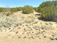 Invest in AZ 2.5 Acres, $125/Mo : Saint Johns : Apache County : Arizona