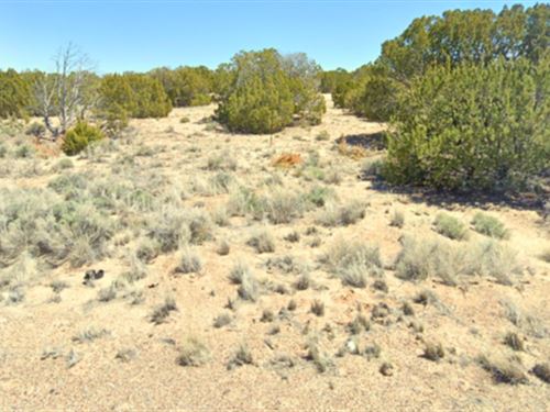 Invest in AZ 2.5 Acres, $125/Mo : Saint Johns : Apache County : Arizona