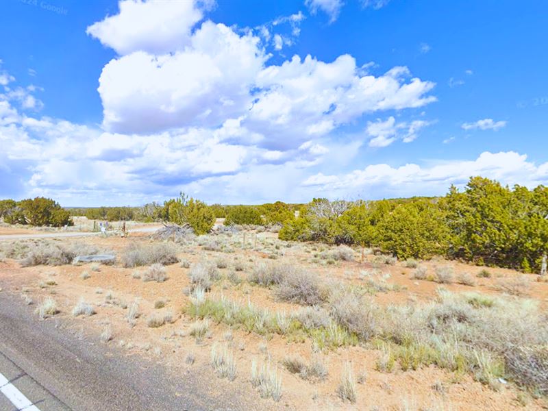 Invest Now, Act Now $124/Mo : Saint Johns : Apache County : Arizona