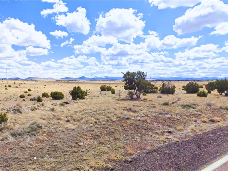 Stunning 1.12 Acre in Az, $105/Mo : Concho : Apache County : Arizona