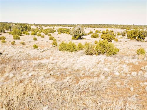 Own It All 1.12 Acre in Az, $105/Mo : Concho : Apache County : Arizona