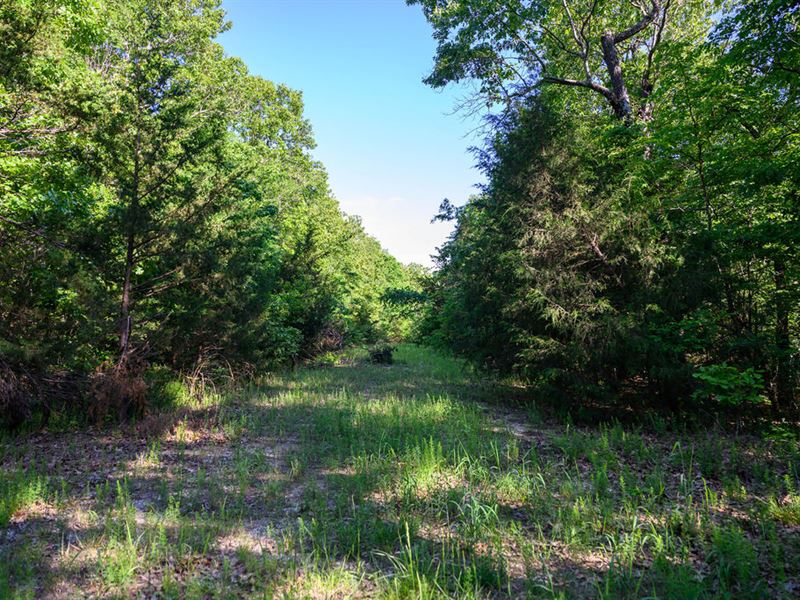 Own Your Slice of Serenity : Horseshoe Bend : Izard County : Arkansas