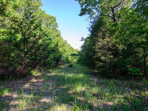 Own Your Slice of Serenity : Horseshoe Bend : Izard County : Arkansas