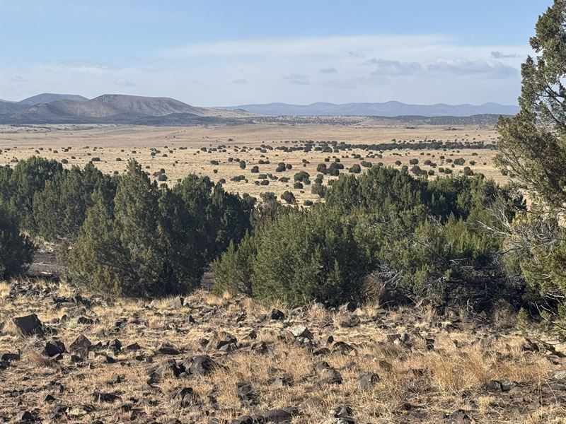 No More Landlords, Ever Again : Concho : Apache County : Arizona