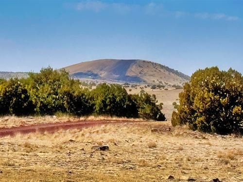 Build Your Vision, Own Forever : Concho : Apache County : Arizona