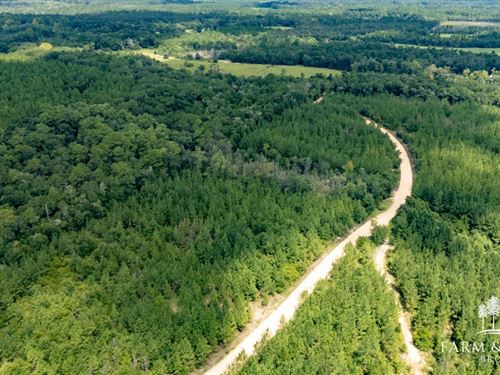 Alred Road Tract 3, 4.5 Ac : Westville : Holmes County : Florida