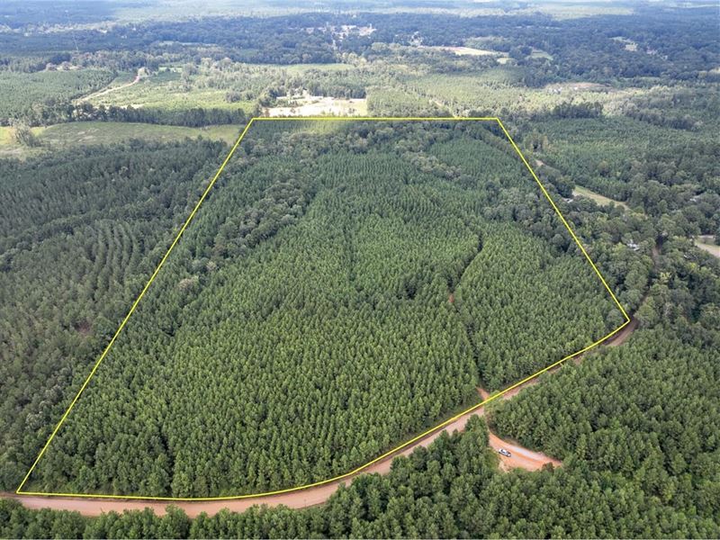 64 Acres, T-1, Provencal Vowell : Provencal : Natchitoches Parish : Louisiana