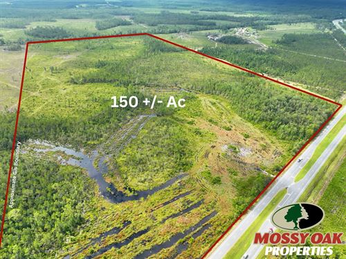 150 Ac Hwy 84 Willow Creek Tract : Homerville : Clinch County : Georgia