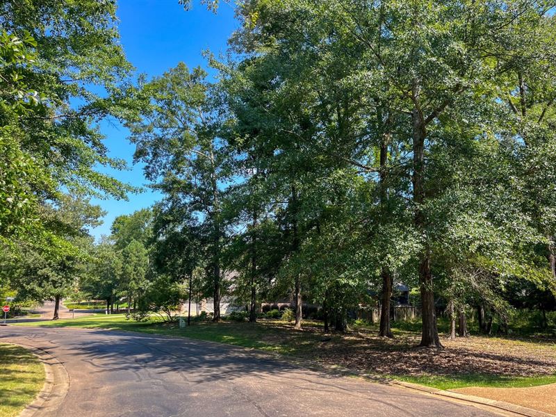 .7 Acre Lot in Knightsbridge Subdi : Madison : Madison County : Mississippi