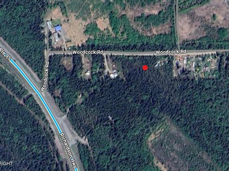 Remote 1 Acre Building Lot with Roa : Copper Center : Valdez-Cordova Borough : Alaska