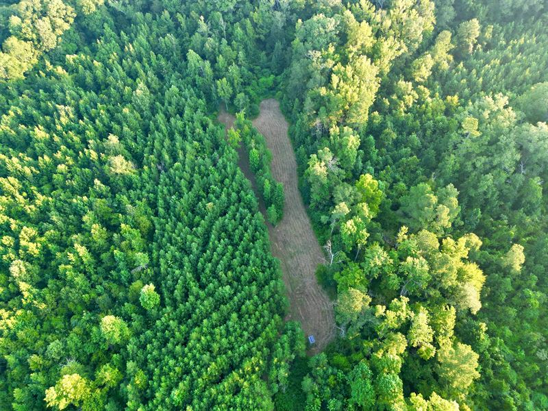 36.5 Acres in Copiah County, MS : Wesson : Copiah County : Mississippi