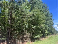 Belton Homestead : Belton : Anderson County : South Carolina