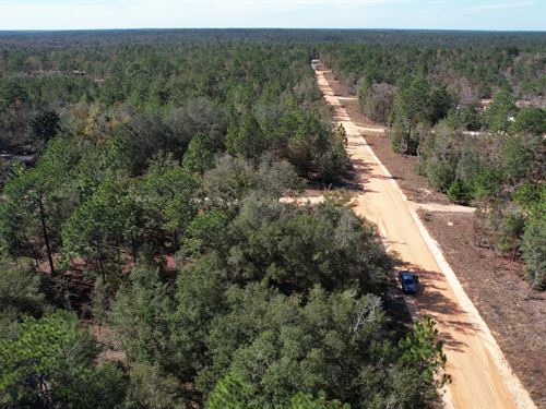 Florida Land Deal 0.23 Acres : Interlachen : Putnam County : Florida