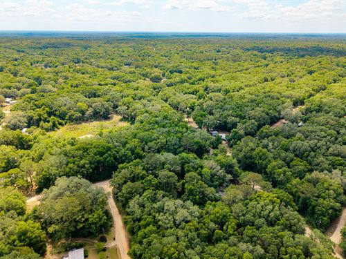 Florida Lot Build, Camp, Invest : Interlachen : Putnam County : Florida