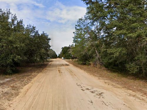 Interlachen FL 0.22 Acre Build Site : Interlachen : Putnam County : Florida