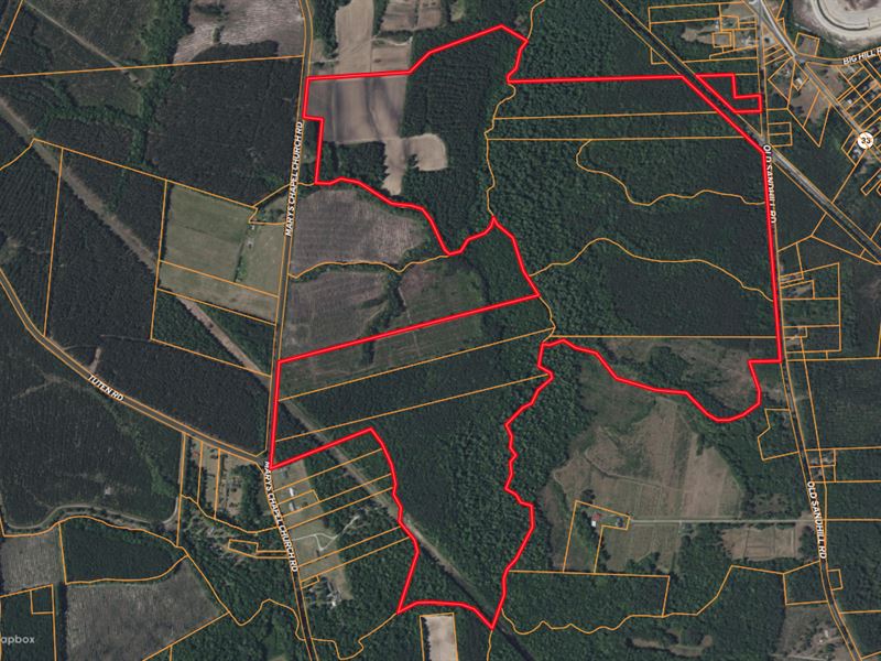 305 AC Farmland & Timber, Hunting : Aurora : Beaufort County : North Carolina
