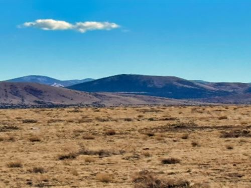 Off-Grid & Homestead Ready : Concho : Apache County : Arizona