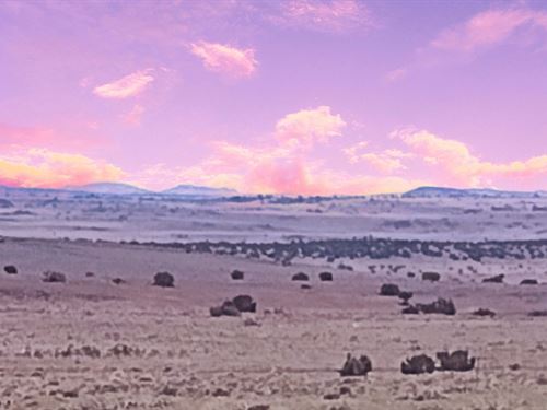 Transform Your Future : Concho : Apache County : Arizona