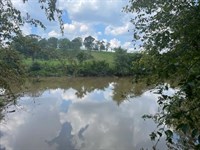 25.82 Acres, River Road : Piedmont : Anderson County : South Carolina