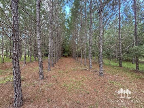 Alred Road Tract 5, 9.3 Ac : Westville : Holmes County : Florida