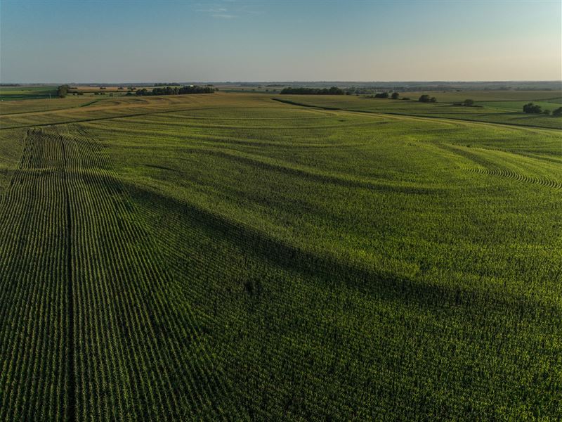 Cass County Dryland 20 : Murdock : Cass County : Nebraska