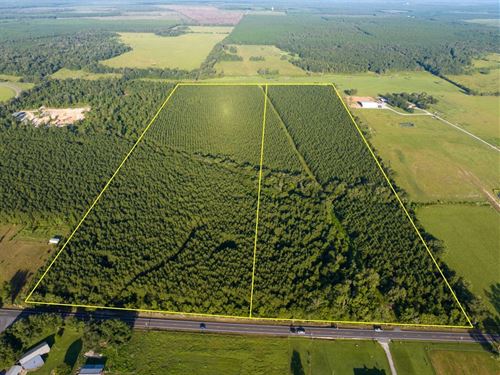 39 Acres, T-2, Edgerly Road, 307 : Dequincy : Calcasieu Parish : Louisiana