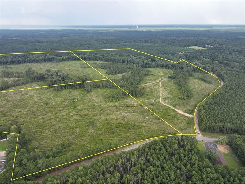 71 Acres, T-2, Highway 127, 3050 : Trout : Lasalle Parish : Louisiana