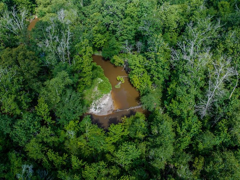 88 Acres, Sand Ridge Cemetery Road : Newton : Newton County : Texas