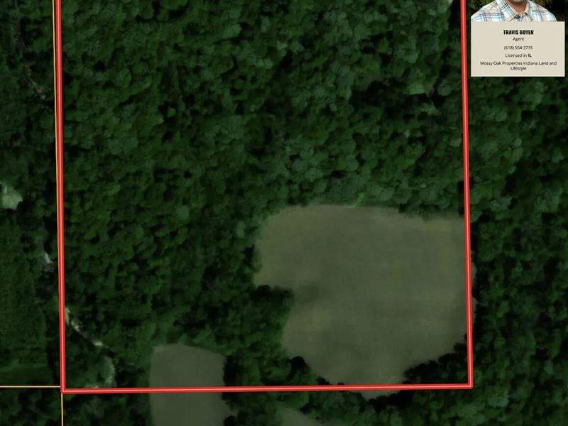 Greentree 80 : Newton : Jasper County : Illinois