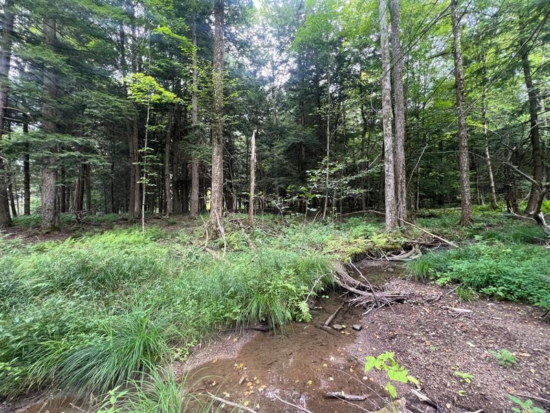 Maple Grove Rd, 70 Acres : Union City : Erie County : Pennsylvania