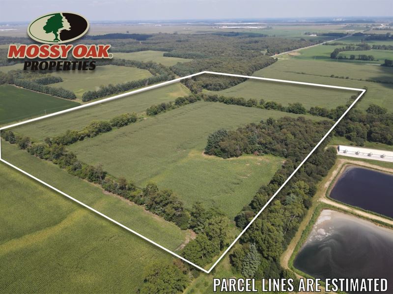 60 Acres / Newton County / Till : Fair Oaks : Newton County : Indiana
