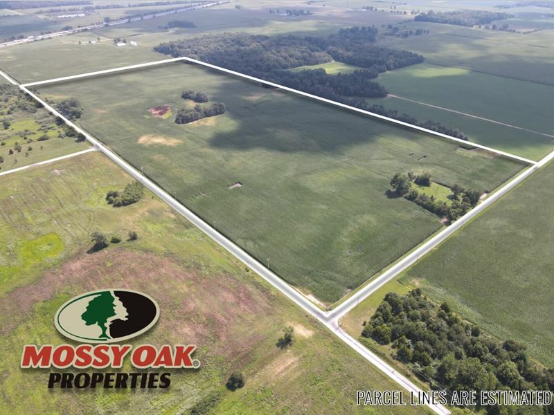 76 Acres / 155 S 575 E Fair Oak : Fair Oaks : Newton County : Indiana