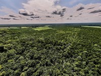 Updated, 149 Acres of Recreationa : Corapeake : Gates County : North Carolina